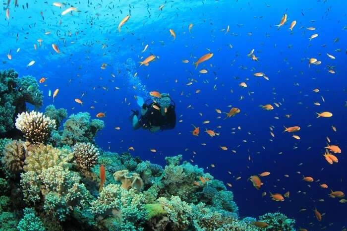 Scuba Diving in Varkala